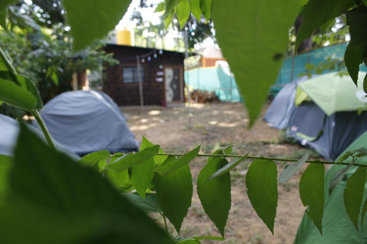 Tusker Tribe Hostel Gokarna (Karnataka)