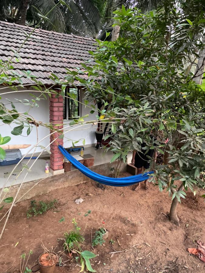 Guest house Radz Home Stay *