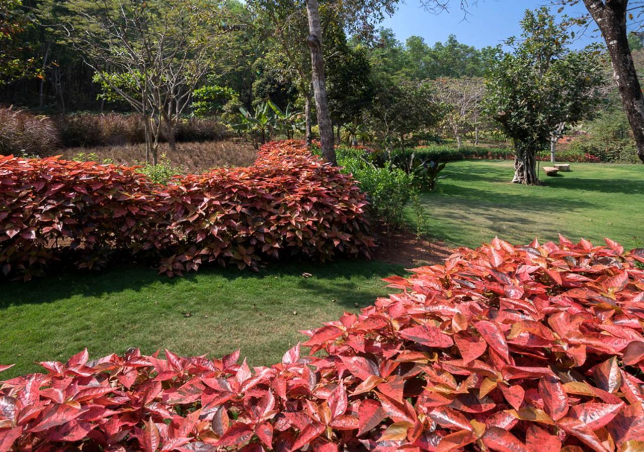 Resort Kahani Paradise