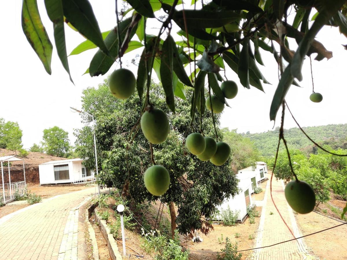 Whitehouse Beachresort &spa 2* Gokarna (Karnataka)