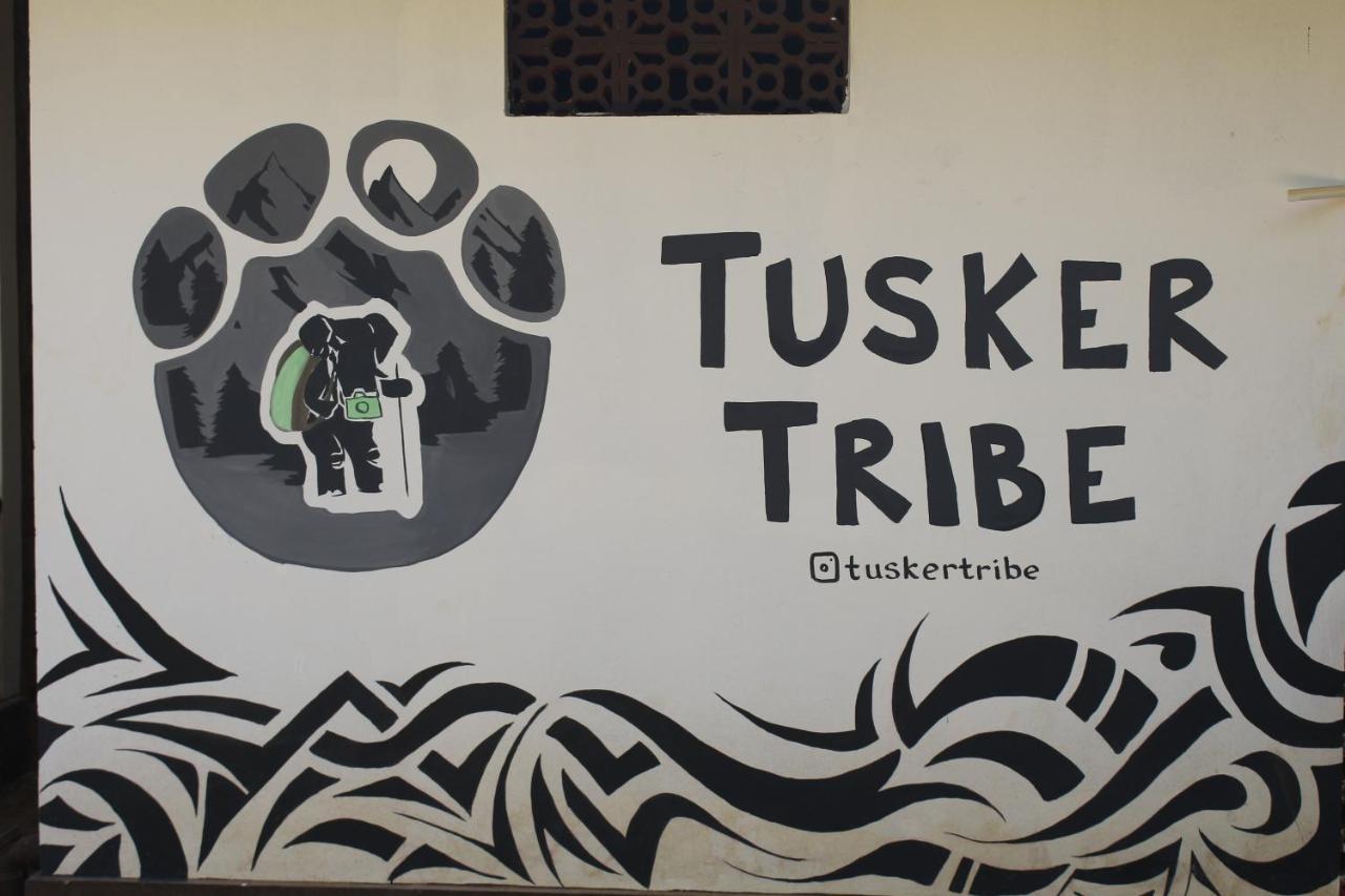 Tusker Tribe * Gokarna (Karnataka)