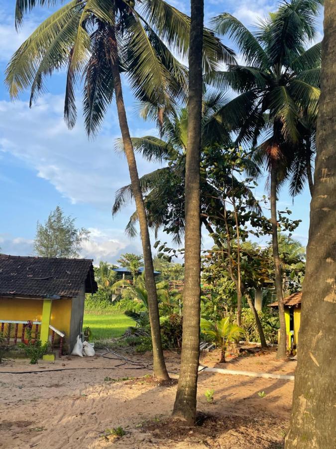 Absolute Paradise * Gokarna (Karnataka)