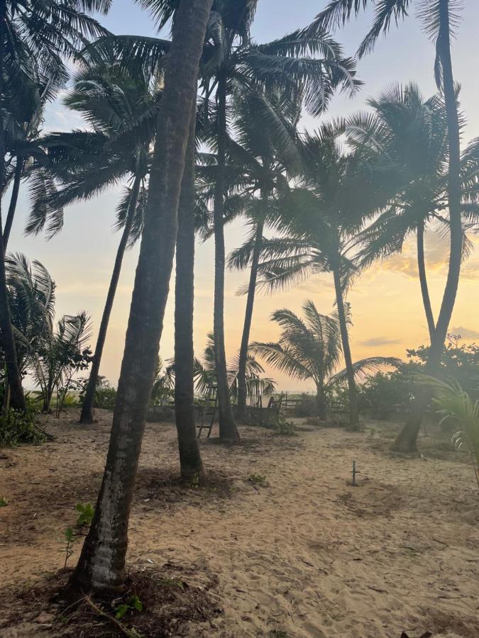 Absolute Paradise * Gokarna (Karnataka)