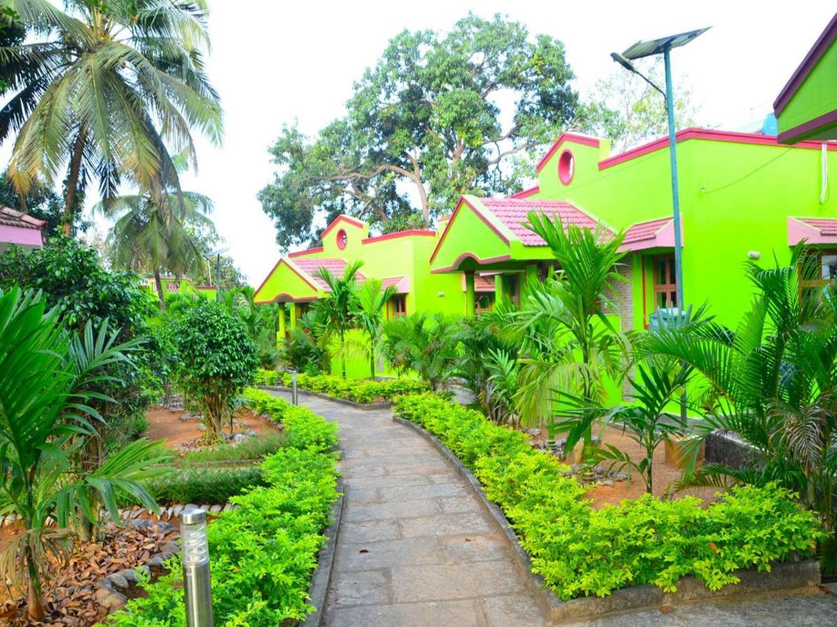 Staymaker Sunny's Serenity Gokarna (Karnataka)