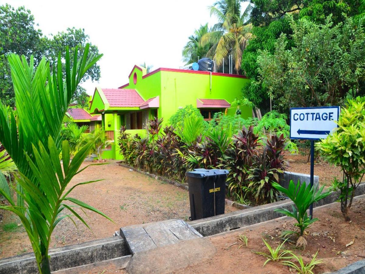 Resort Staymaker Sunny's Serenity Gokarna (Karnataka)