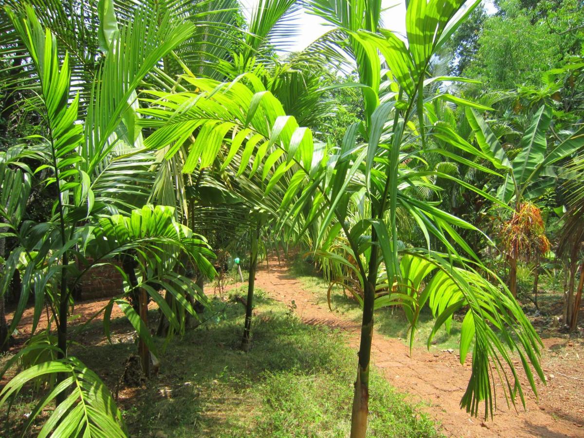 Namaste Yoga Farm Holiday home *