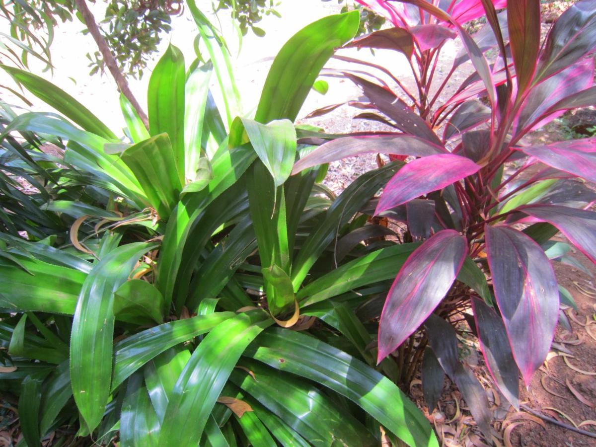 Holiday home Namaste Yoga Farm Gokarna (Karnataka)