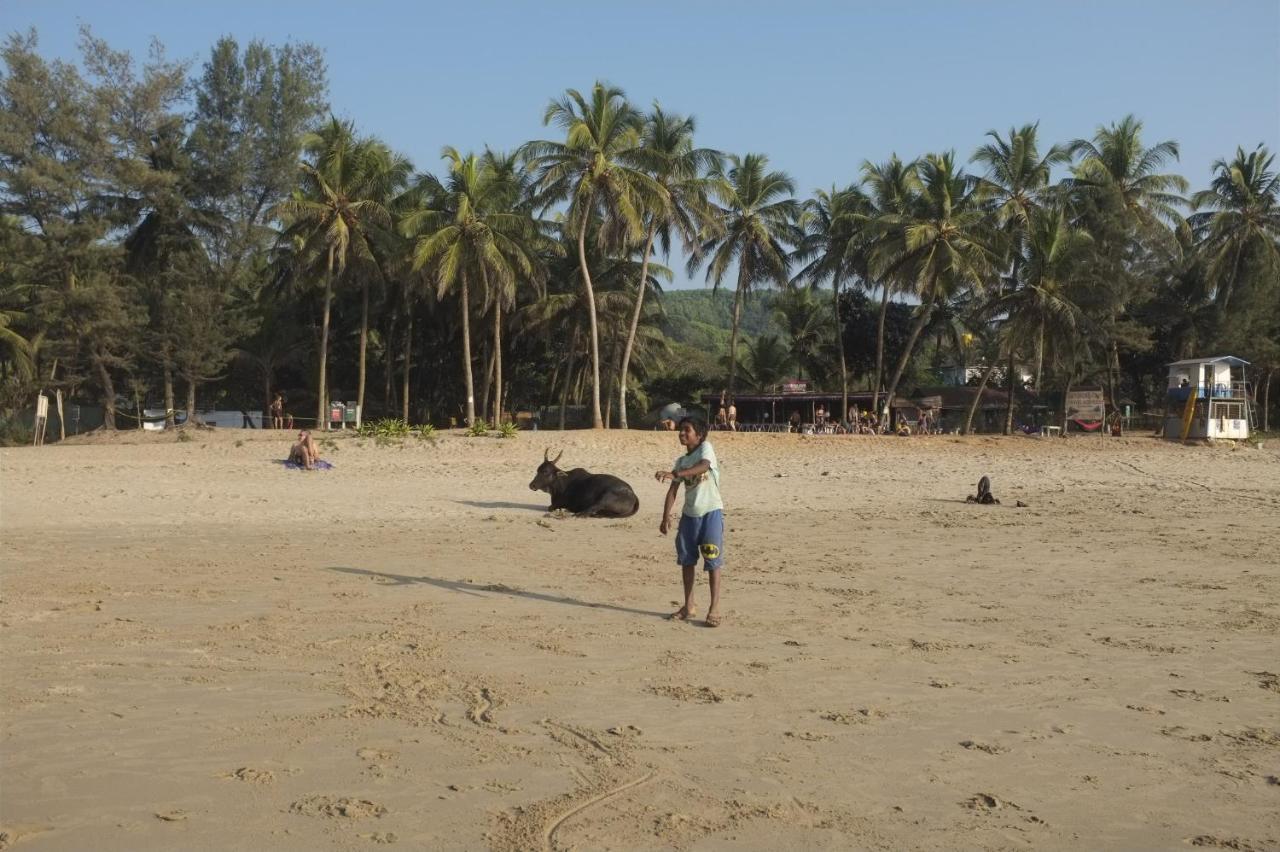 Holiday home Namaste Yoga Farm Gokarna (Karnataka)