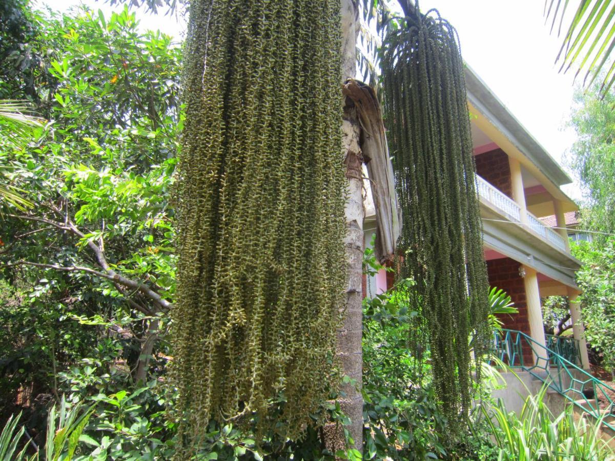 Namaste Yoga Farm * Gokarna (Karnataka)
