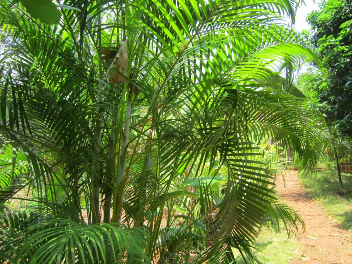 Namaste Yoga Farm