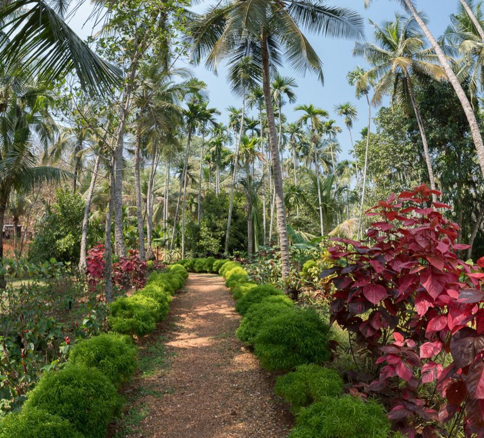 Kahani Paradise Gokarna (Karnataka)