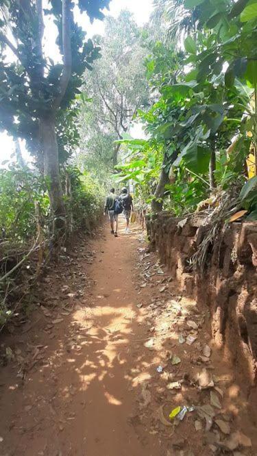 Absolute Paradise Homestay Gokarna (Karnataka)