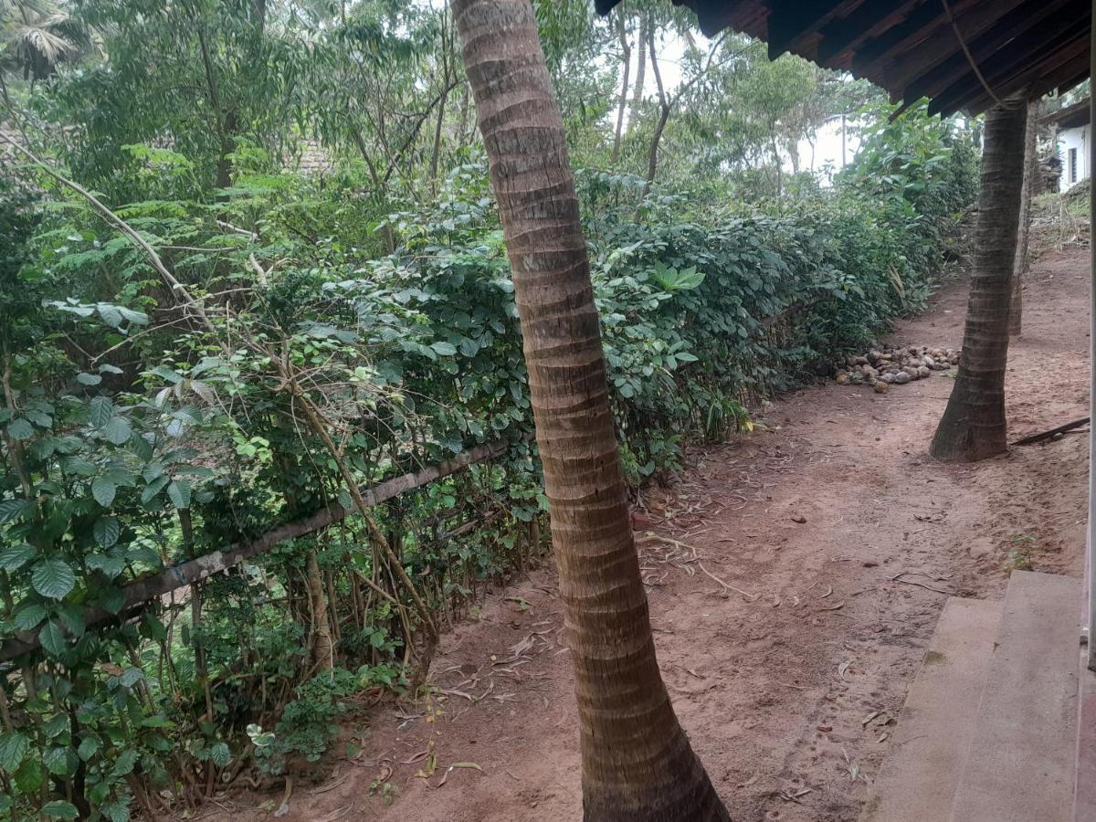 Kala Kutir Homestay
