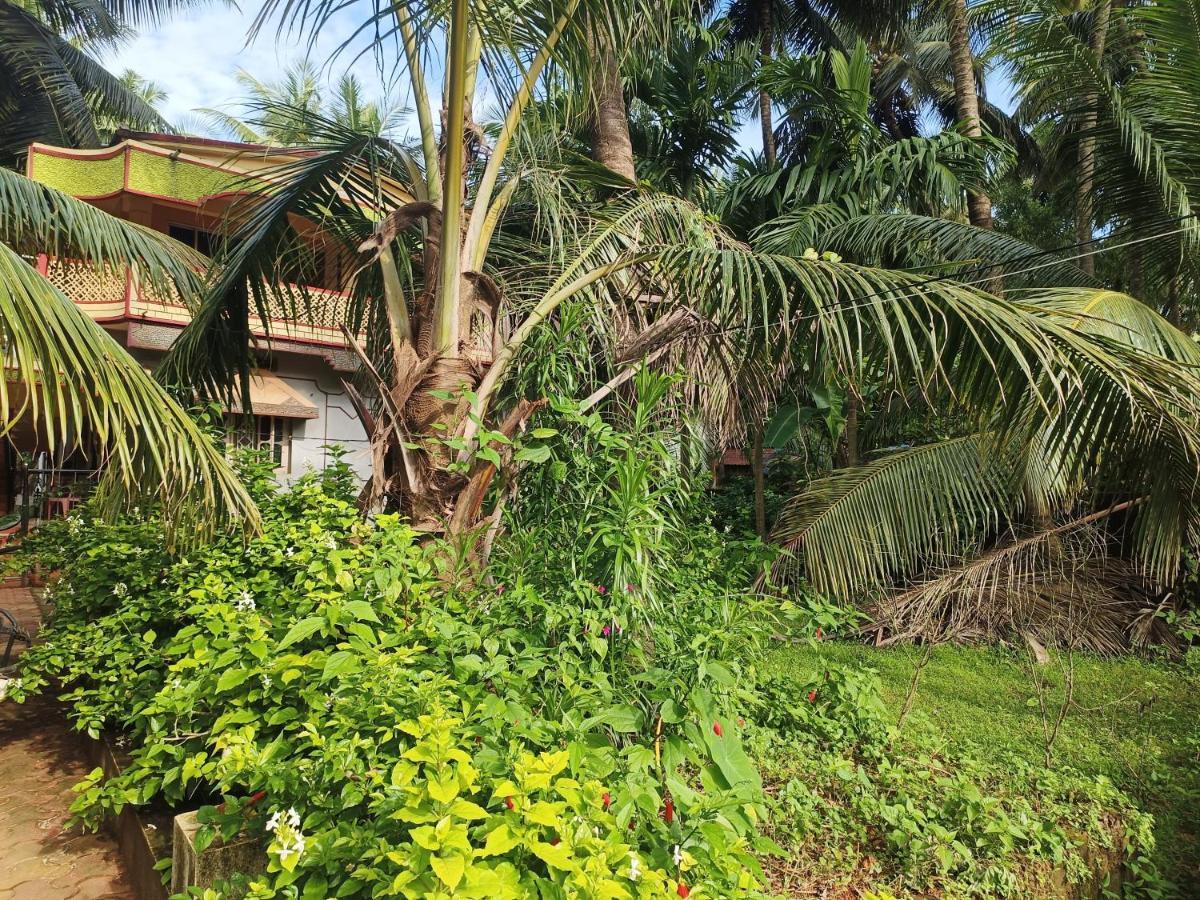Pranjal * Gokarna (Karnataka)