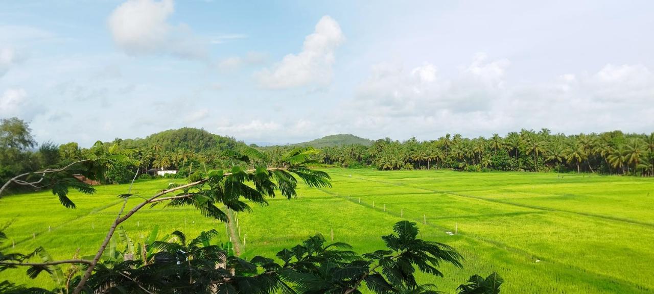 Happyfields Farmstay Guest house Gokarna (Karnataka)