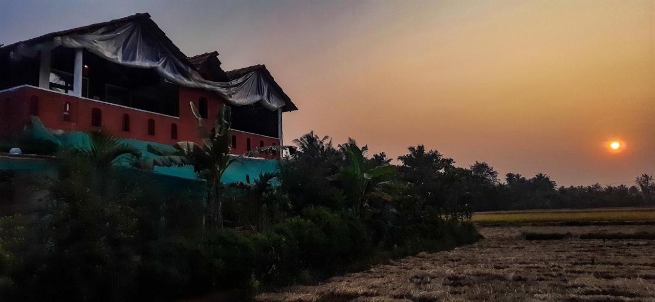 Dream Way Homestay