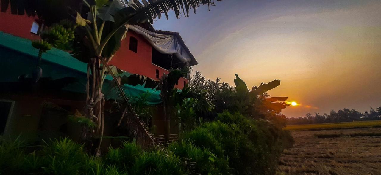 Homestay Dream Way