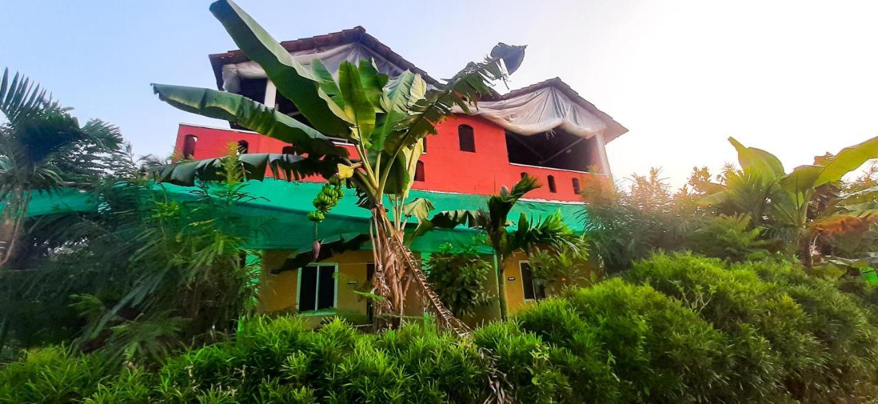Dream Way Homestay