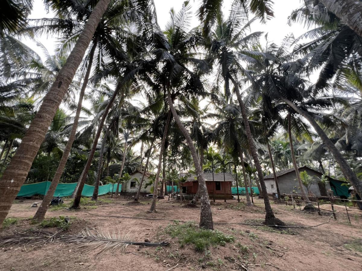 Hostel Hostelexp, Gokarna - A Slow-paced Backpackers Community Gokarna (Karnataka)