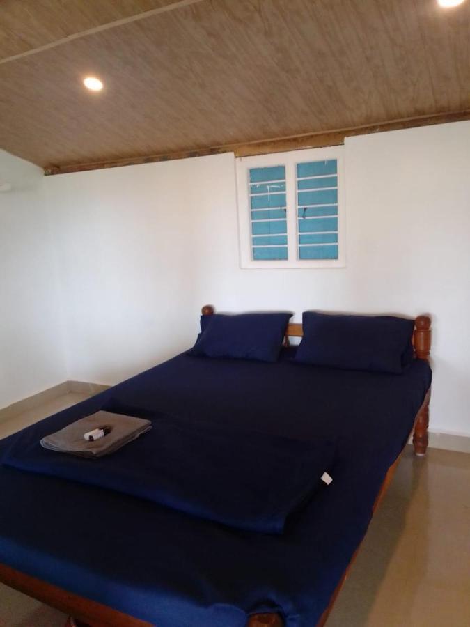 Absolute Paradise Homestay *
