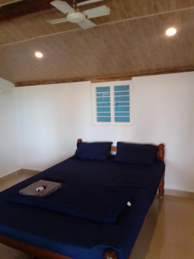 Homestay Absolute Paradise