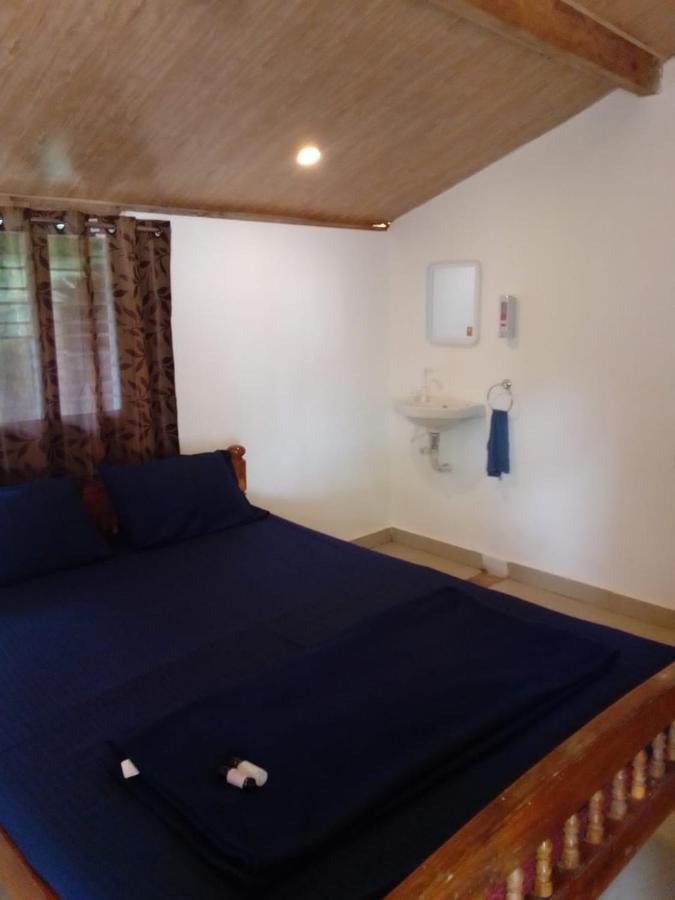 Absolute Paradise Homestay