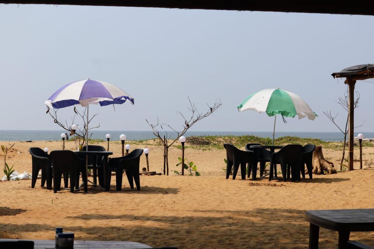 Absolute Paradise Homestay