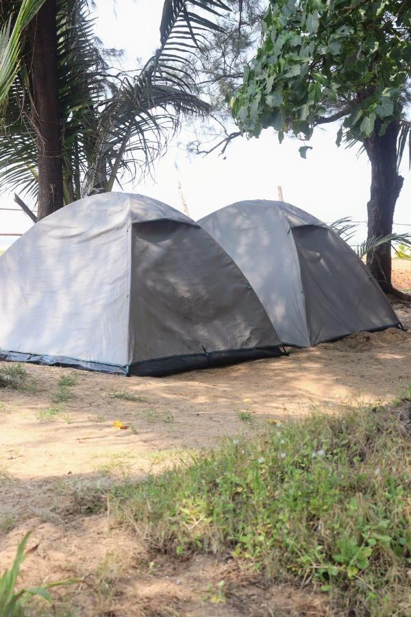 Homestay Absolute Paradise