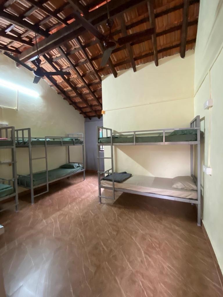 Hostel Tusker Tribe Gokarna (Karnataka)