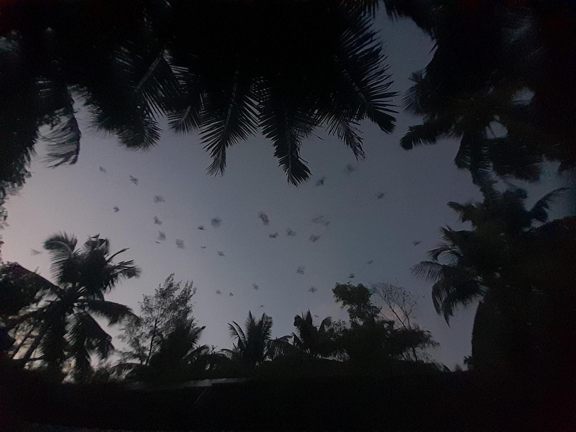 Qala Kutir Art Studio And Homestay Gokarna (Karnataka)