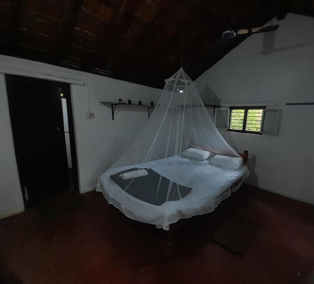 Homestay Qala Kutir Art Studio And