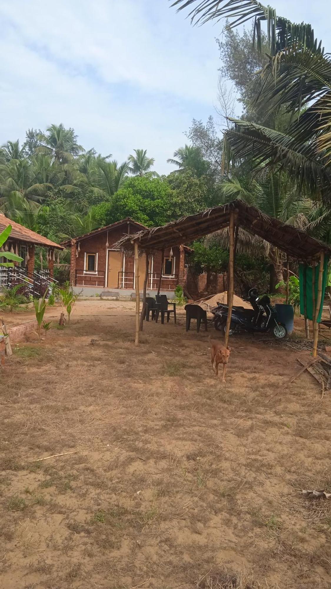 Ibbani Guest house *