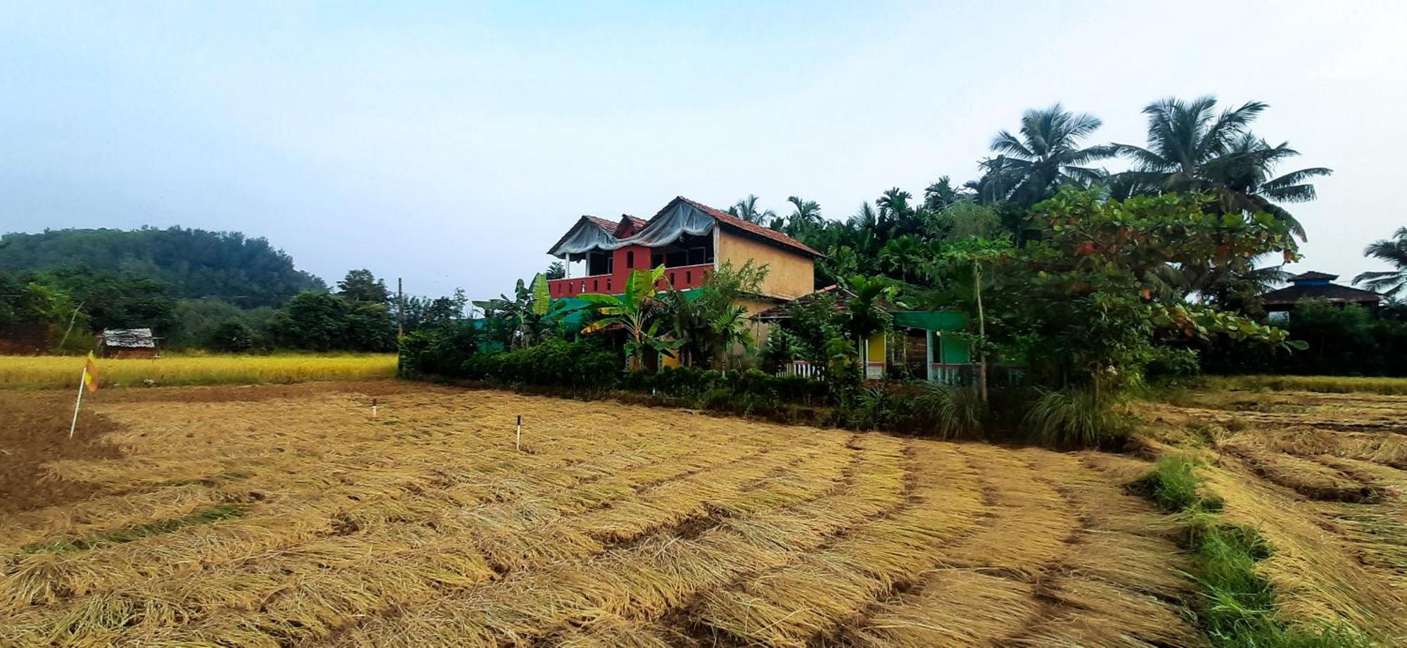 Homestay Dream Way