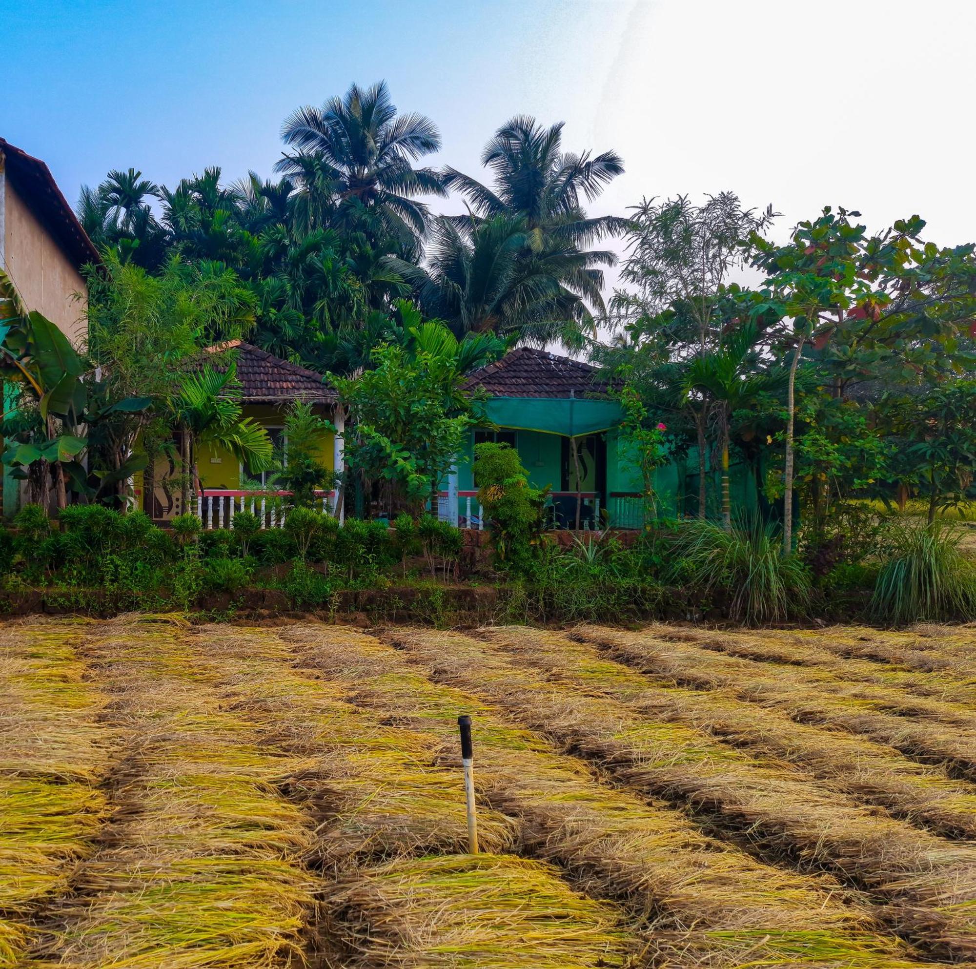 Homestay Dream Way *