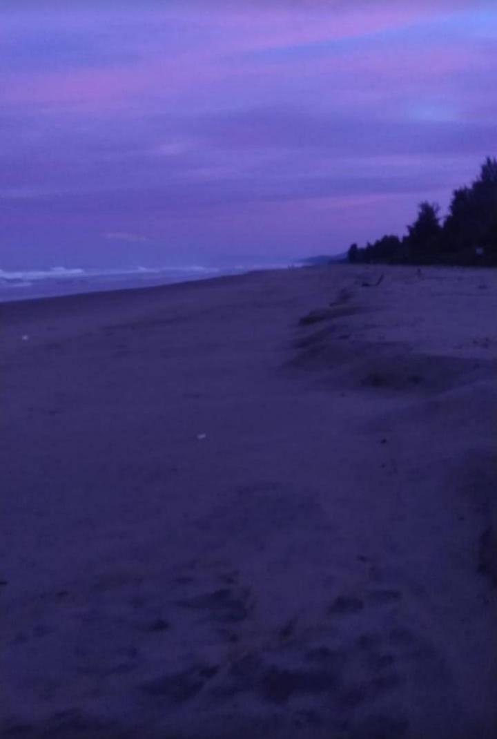 Guest house Ocean Sparrow *