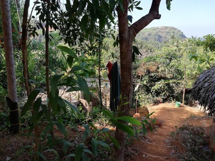 Bindhya Huts