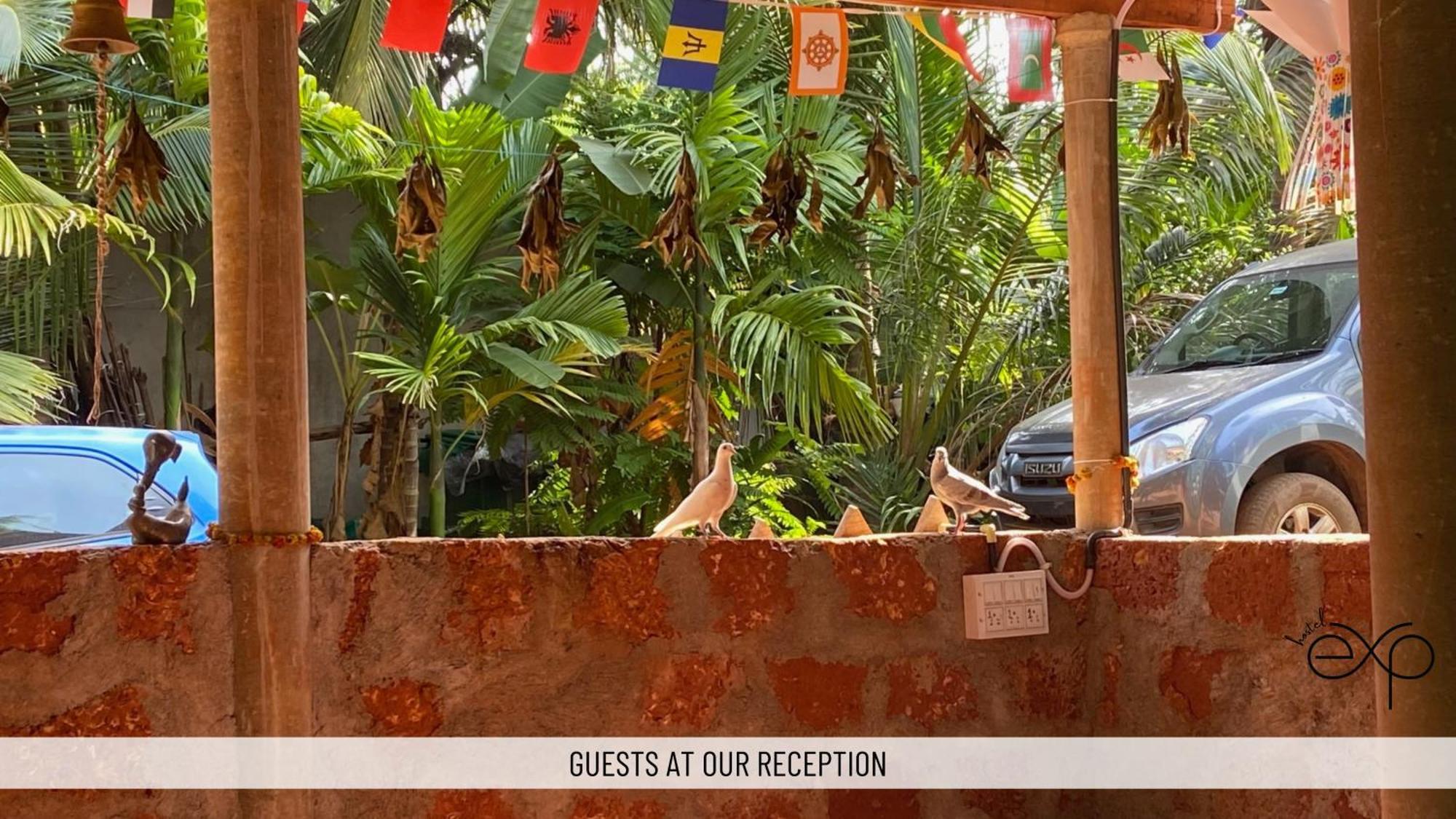 Hostelexp, Gokarna - A Slow-paced Backpackers Community Hostel *