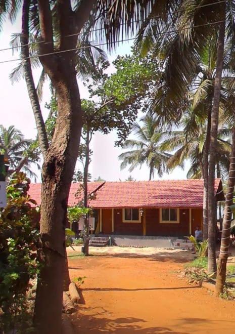 Apartment Tropical *