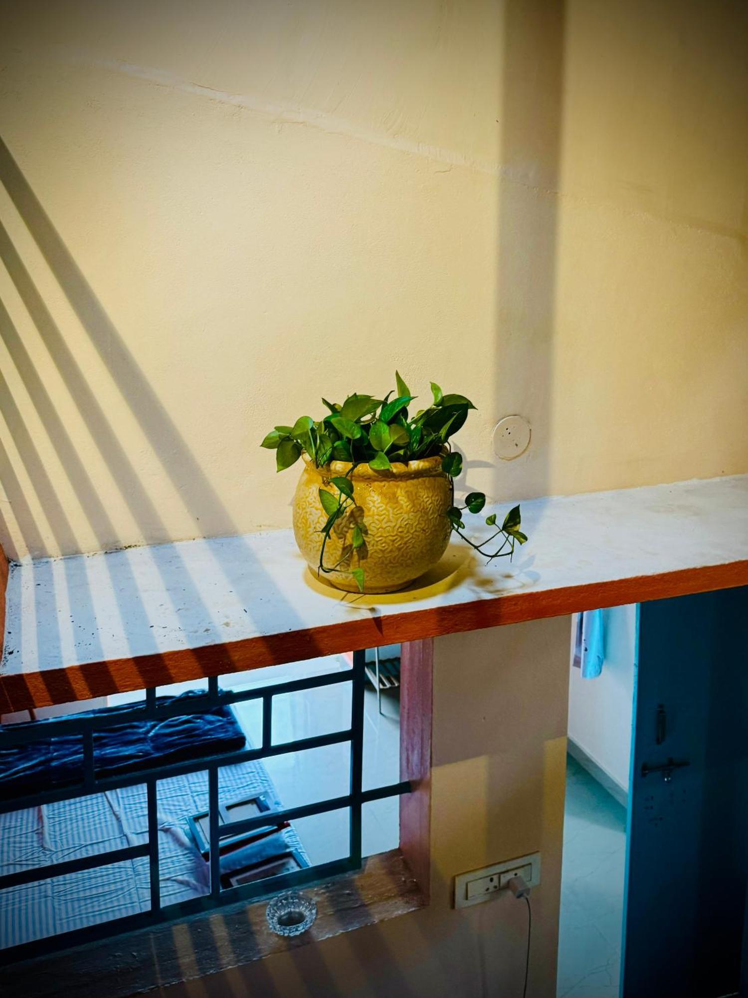 Boho Coral Gokarna - I * Gokarna (Karnataka)