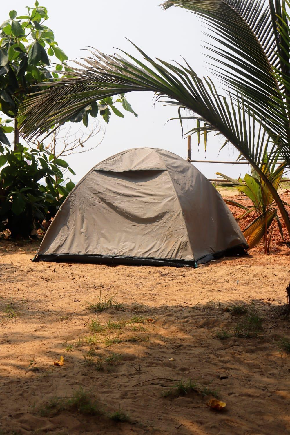 Homestay Absolute Paradise