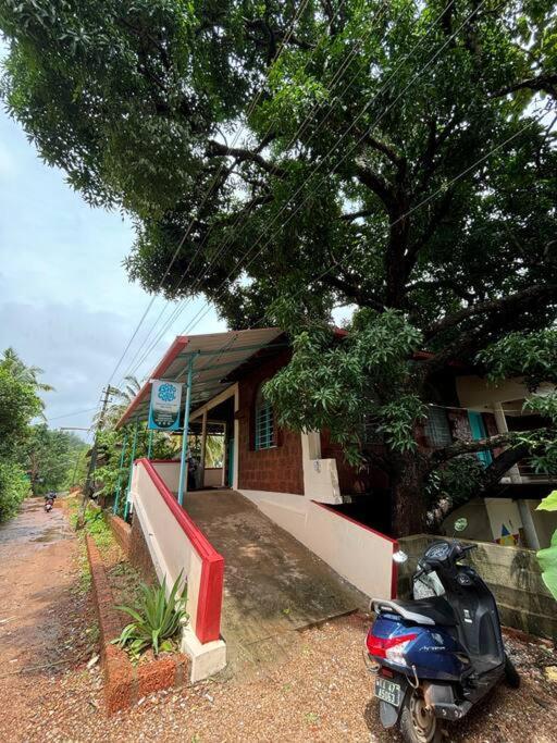 Boho Coral Gokarna - Ii *