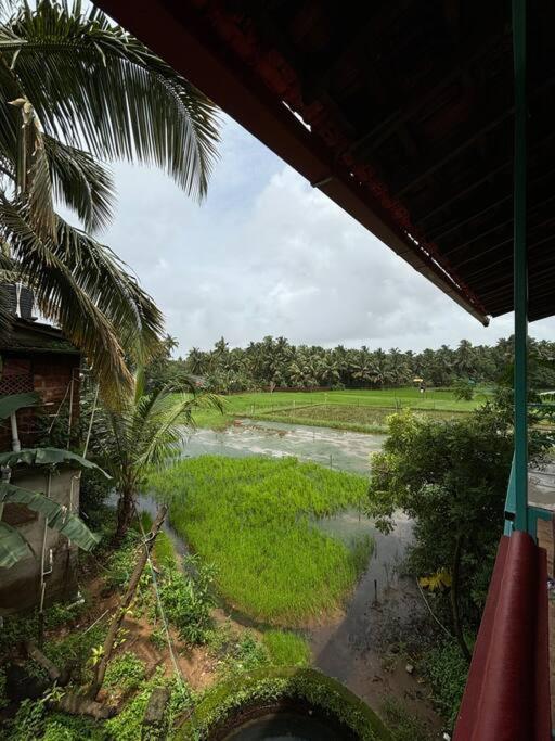 Boho Coral Gokarna - Ii