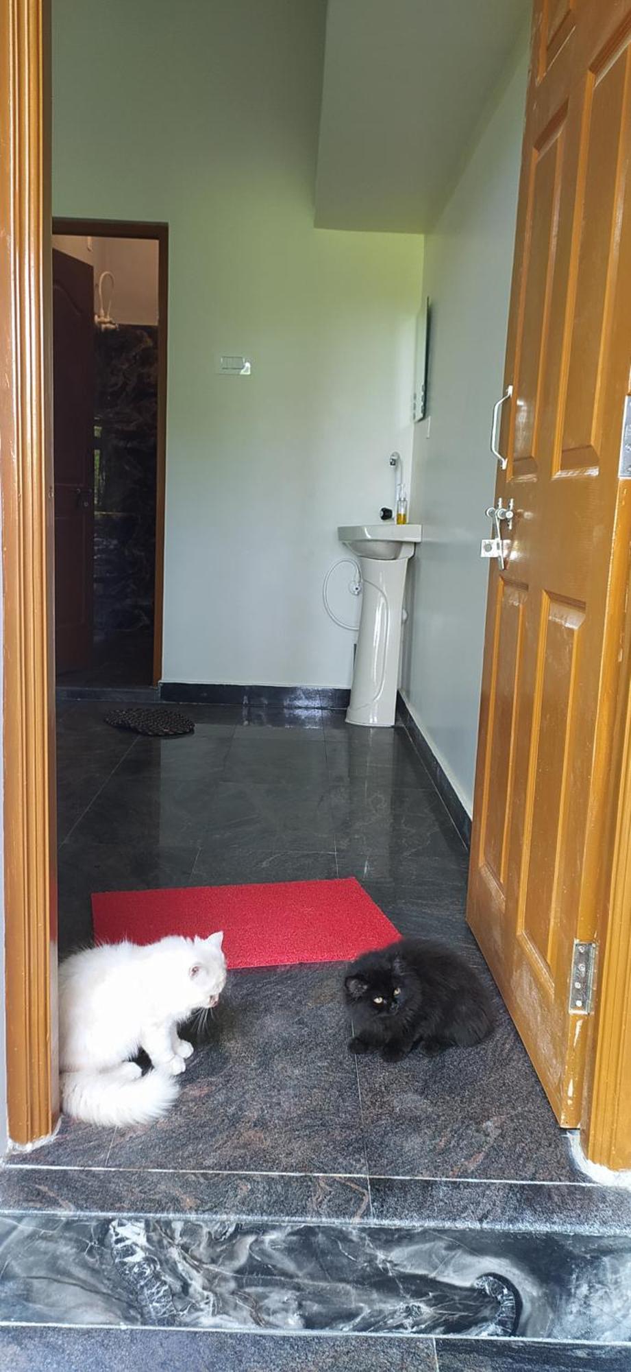Holiday home Arundekar In Side Ac *