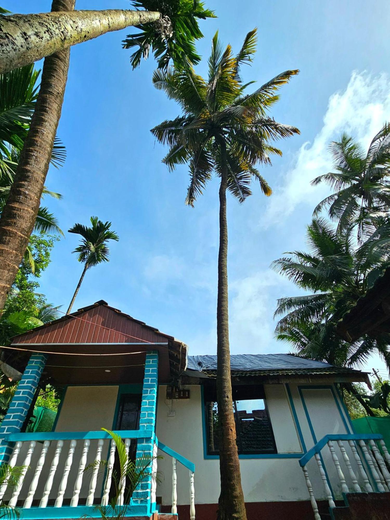 The Beachwalk - Your Pathway To The Beach *
