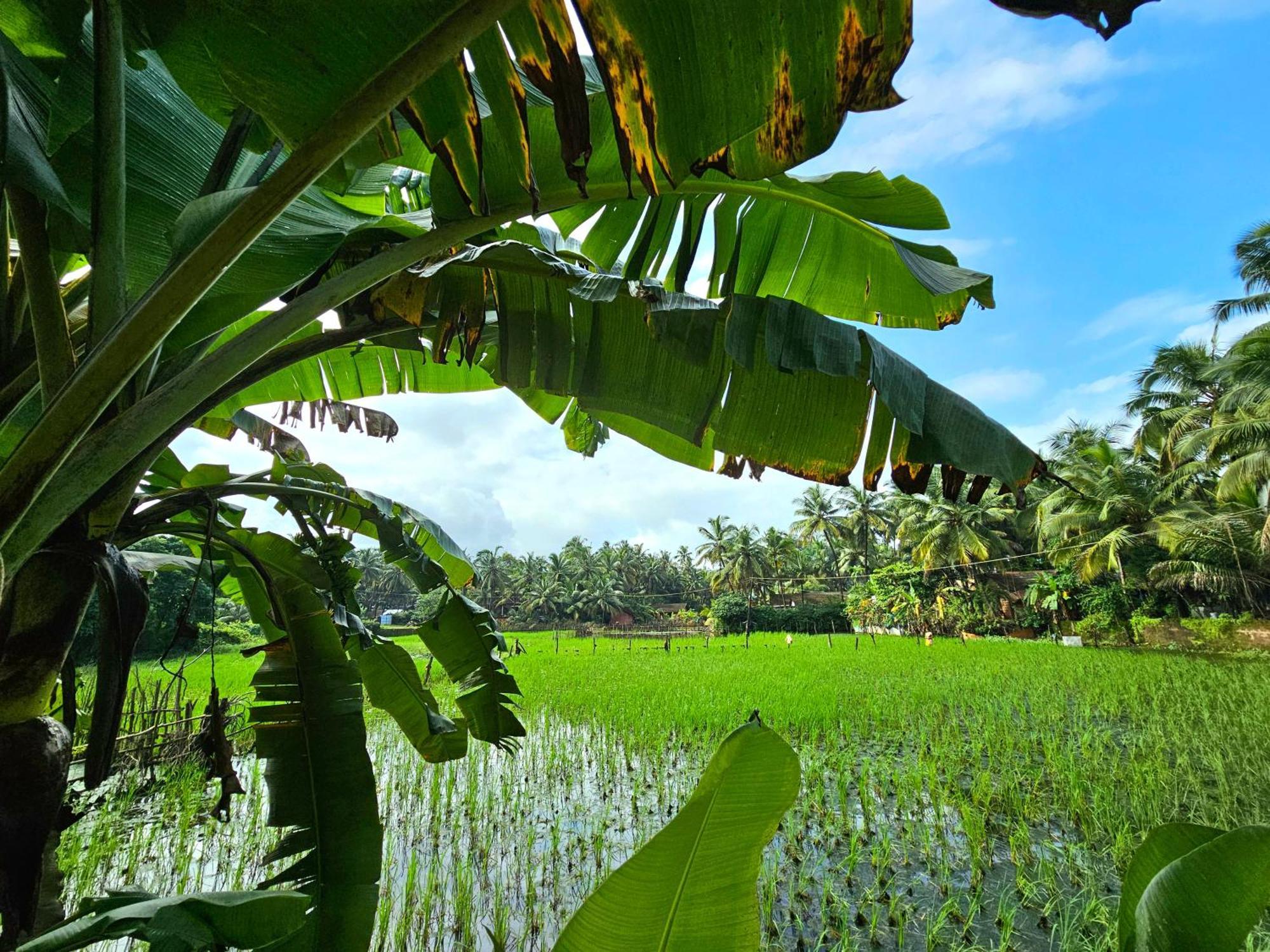 The Beachwalk - Your Pathway To The Beach Homestay *