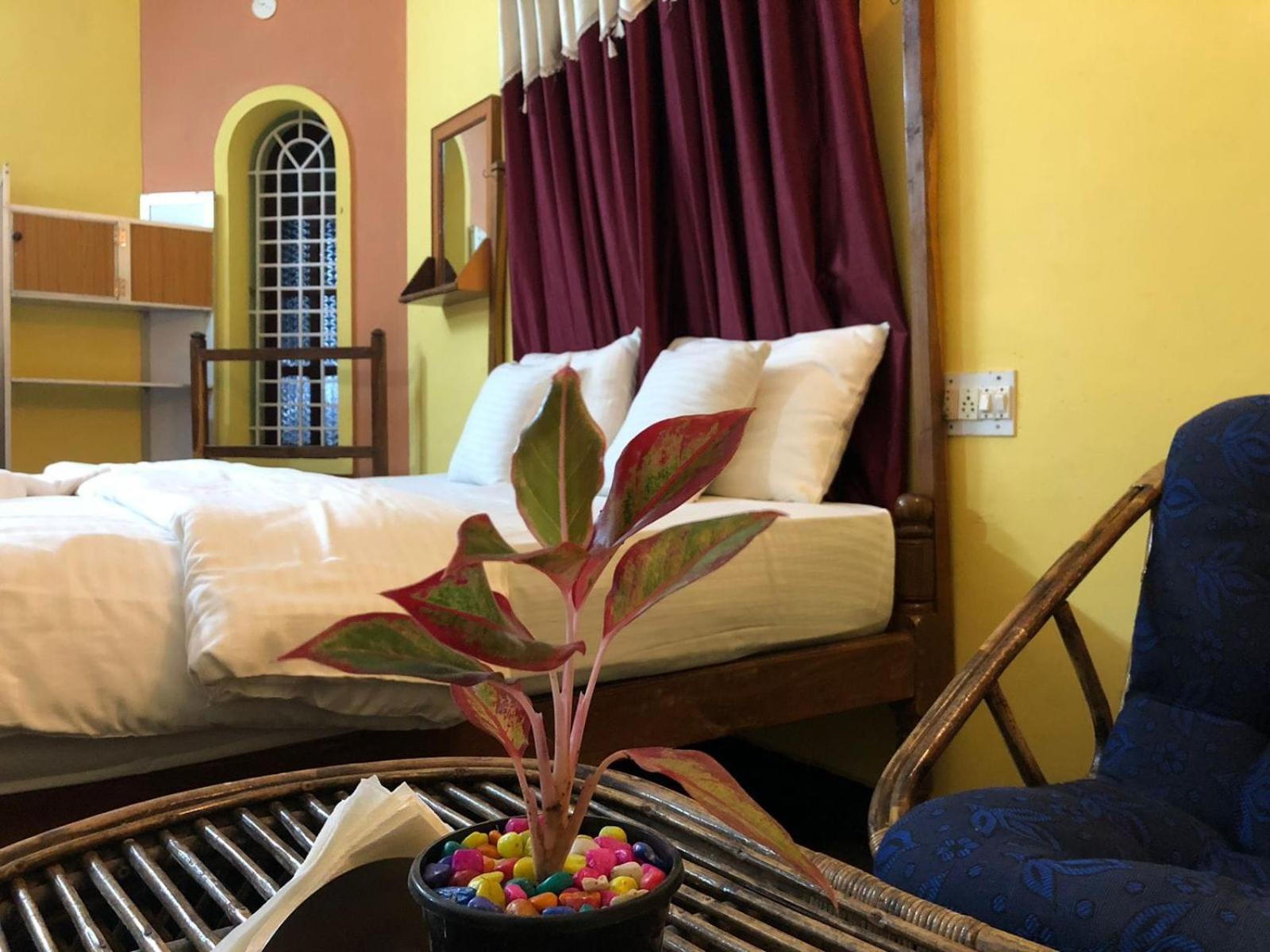 Nature Inn