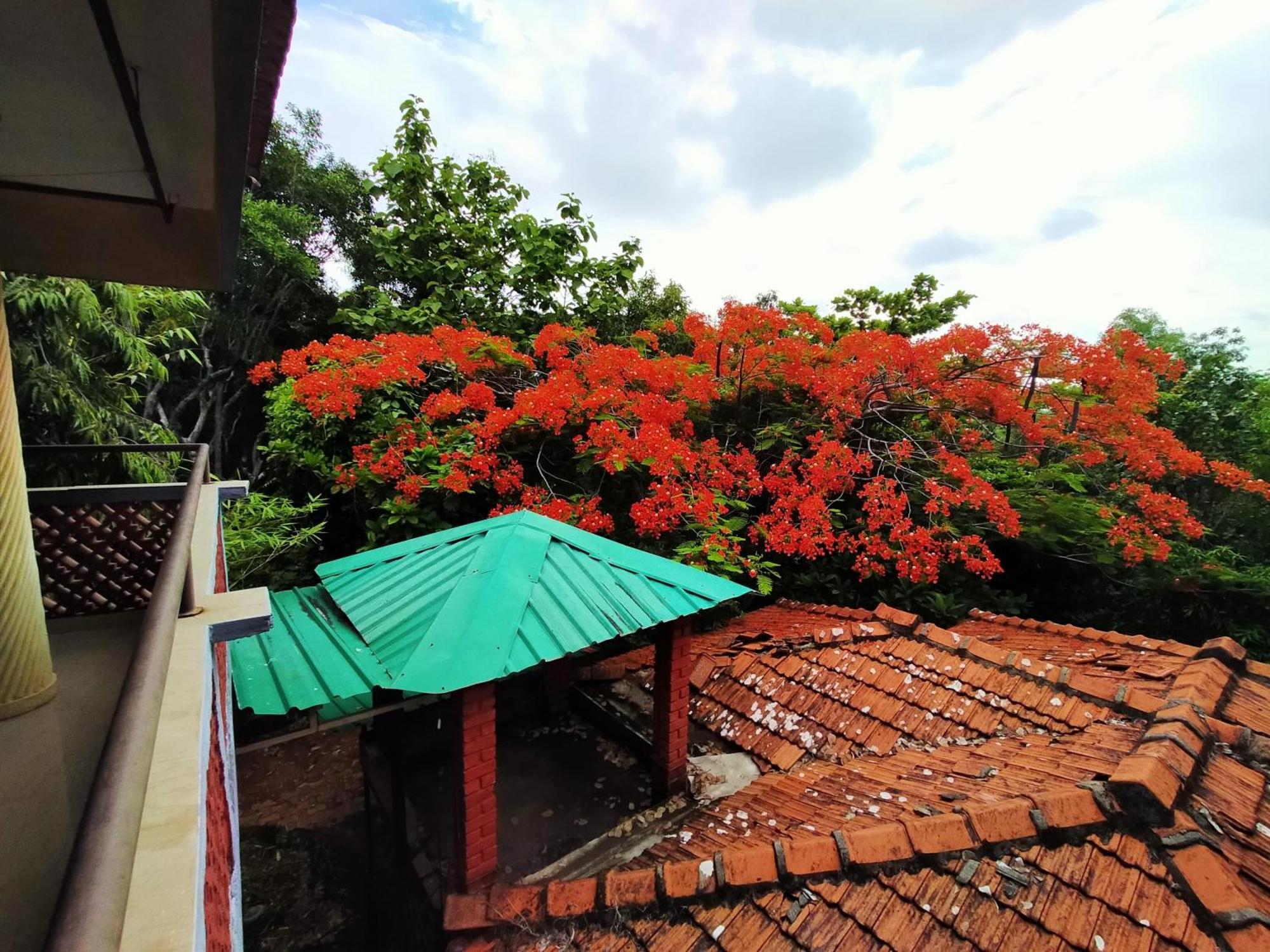 Inn Nature