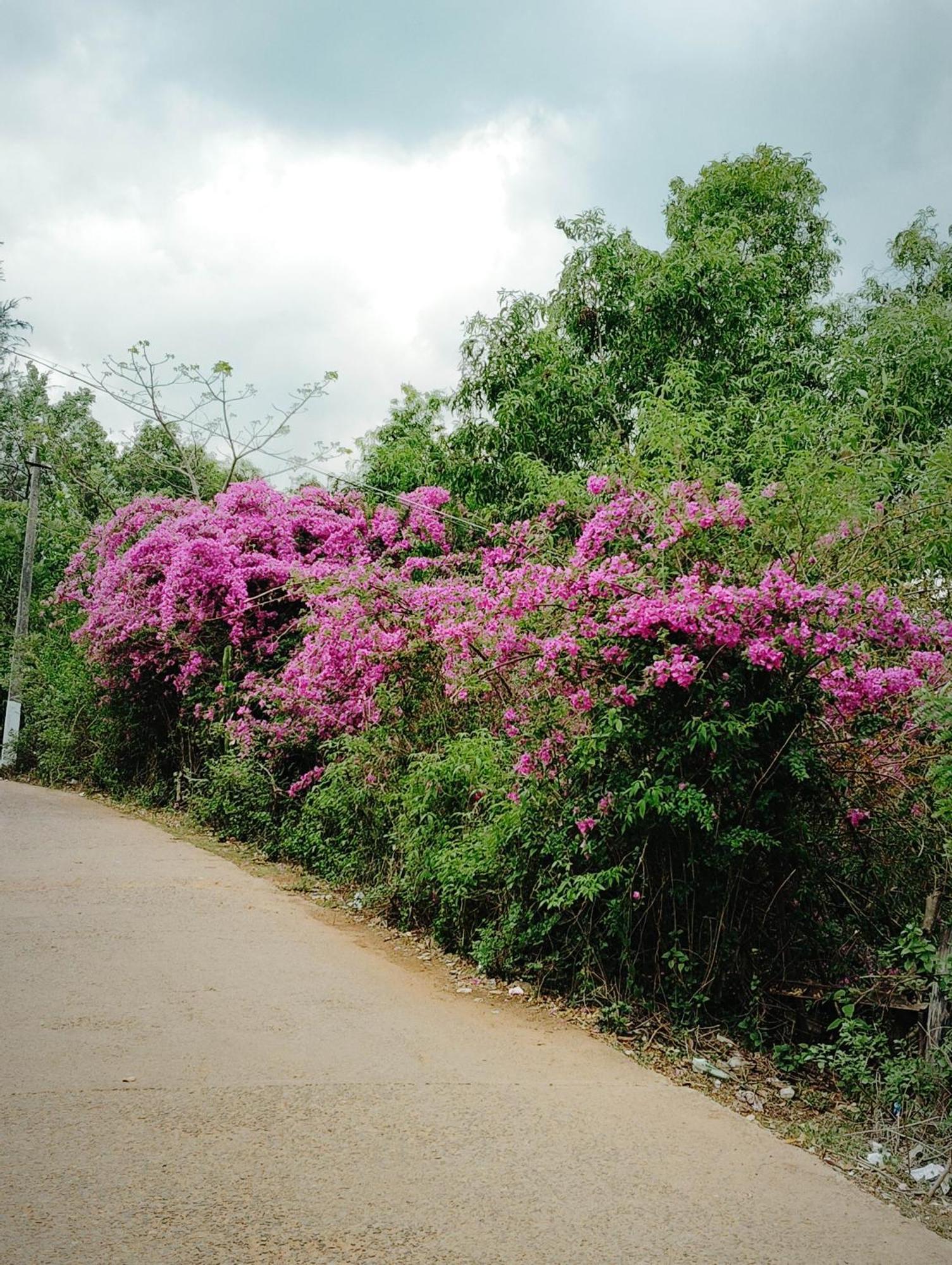 Homestay Aura By The Sea - A Unit Of Vivasa Leisure Gokarna (Karnataka)