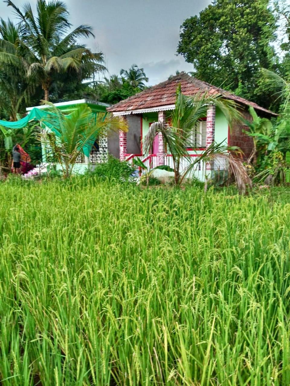 Vismay Farm