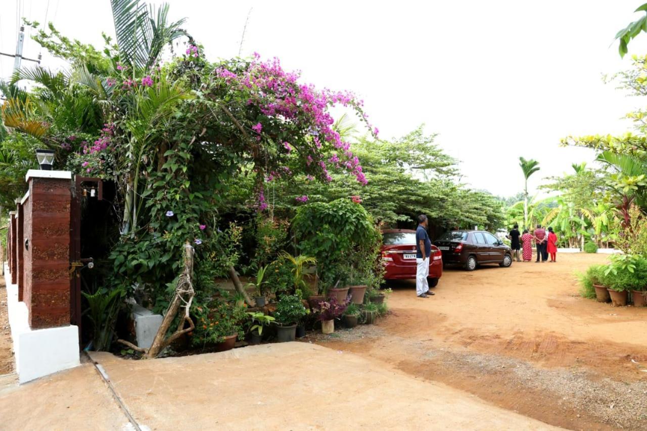 Niyati Homestay *